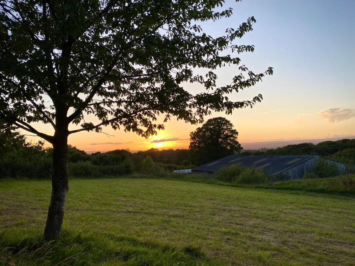 Cherry Tree Glamping Lodge Somerset  Exterior foto