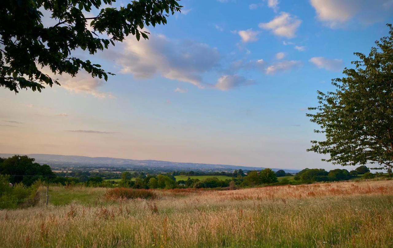 Cherry Tree Glamping Lodge Somerset  Exterior foto